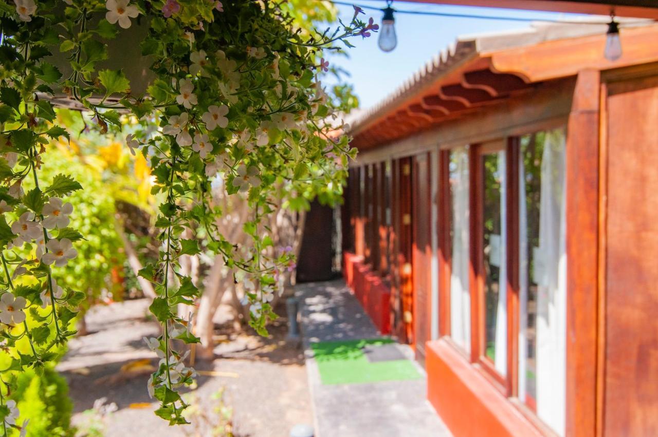 El Rincon Del Huroncillo Tejina Bagian luar foto